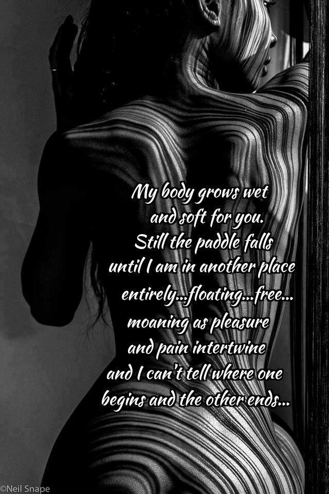 ZomboMeme 23052018183144